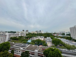 Blk 356 Clementi Avenue 2 (Clementi), HDB 5 Rooms #500505301